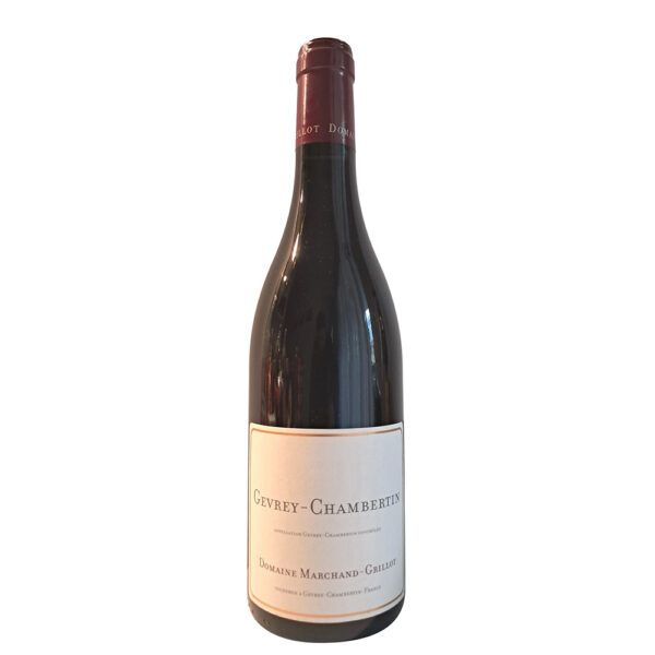 Gevrey-Chambertin  2022 rouge