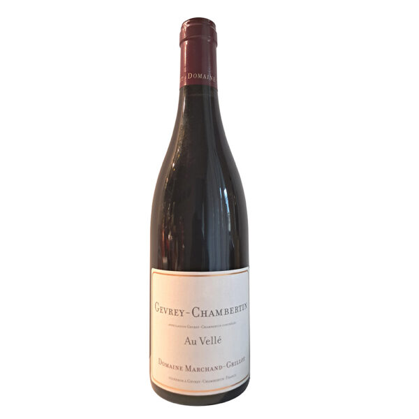 Gevrey-Chambertin  au Vellé 2022 rouge